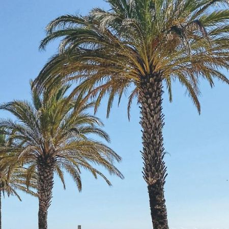 Studio Roses Plage מראה חיצוני תמונה